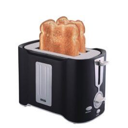 DS2 Toaster